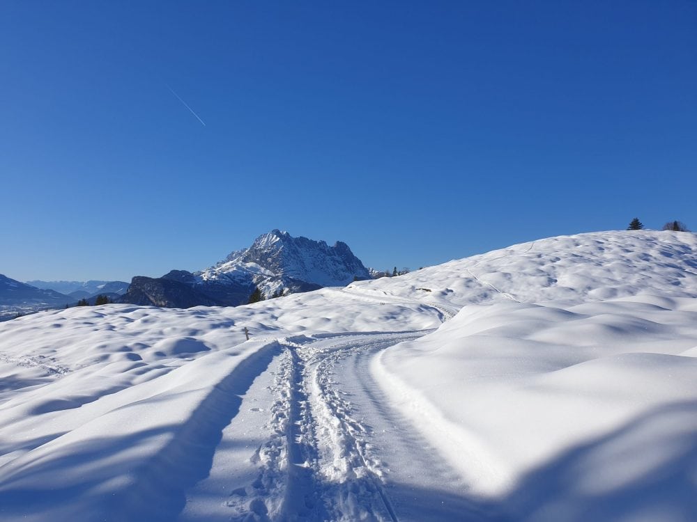 New Path